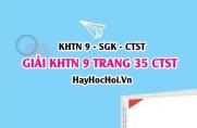 Giải KHTN 9 trang 35 Chân trời sáng tạo SGK